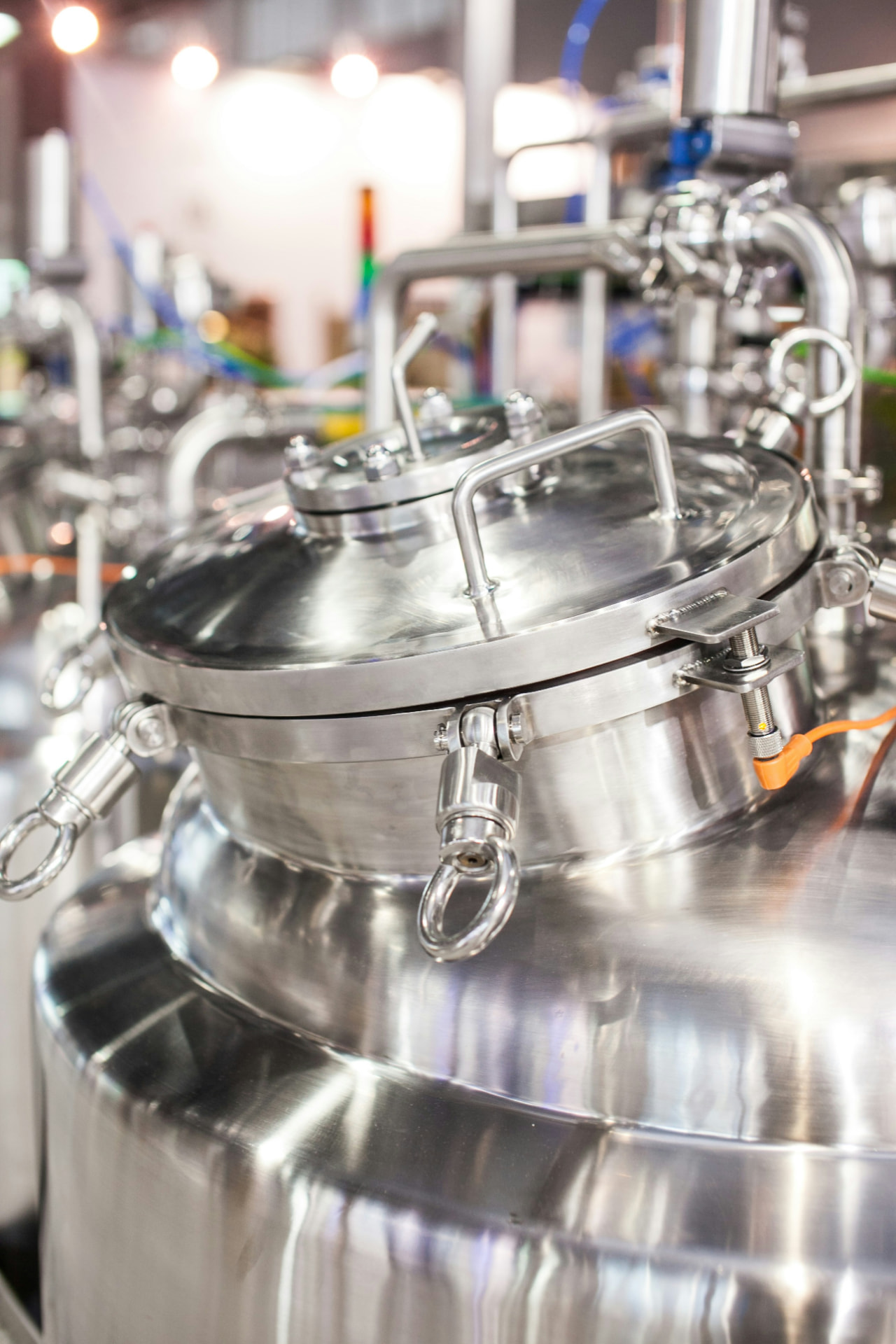 Stainless steel process vessel in our pharmaceutical production hall